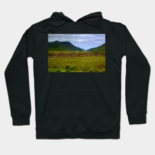 The Irish peat extraction Hoodie